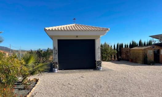 Nieuwbouw - Villa - Pinoso - Camino Del Prado