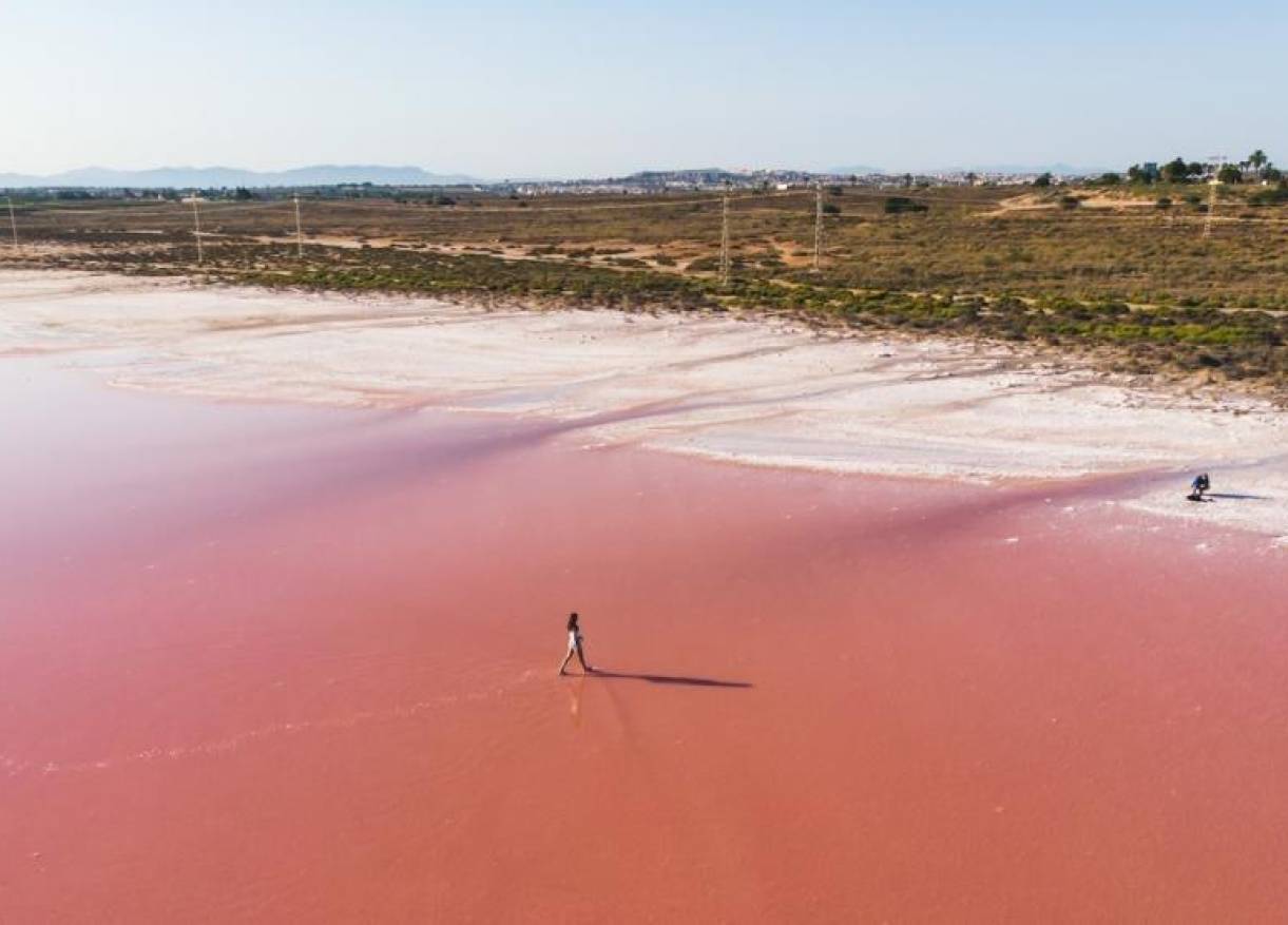 Nieuwbouw - Appartement - Torrevieja - Habaneras