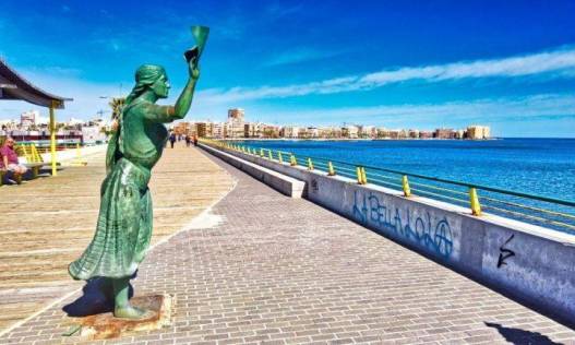 Nieuwbouw - Appartement - Torrevieja - Habaneras