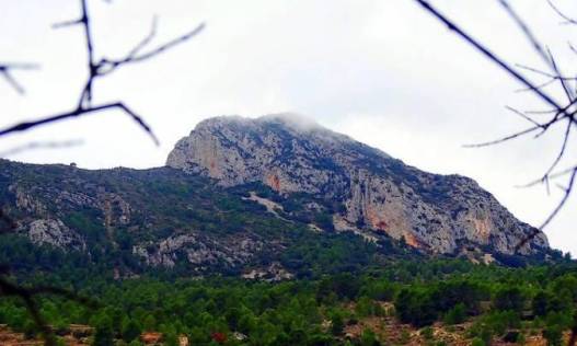 Nieuwbouw - Villa - La Romana - Batistes