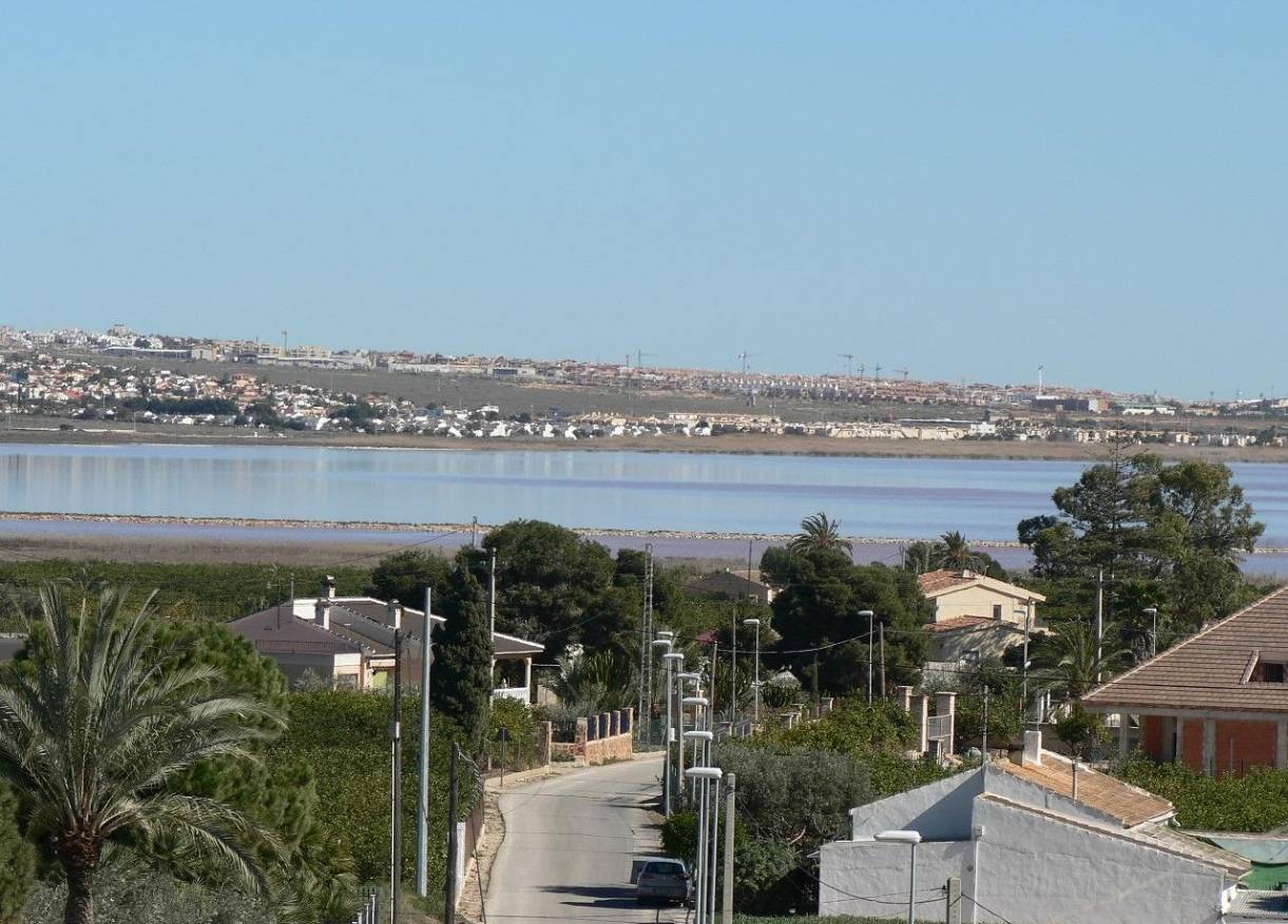 Nieuwbouw - Villa - Los Montesinos - La Herrada