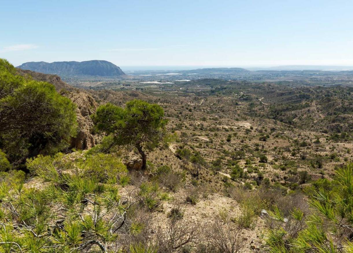 Nieuwbouw - Villa - Aspe - Centro