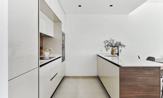 Nieuwbouw - Penthouse - Torrevieja - Villa Amalia