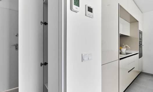 Nieuwbouw - Penthouse - Torrevieja - Villa Amalia