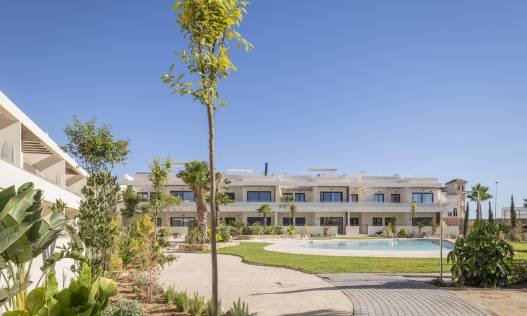Nieuwbouw - Penthouse - Torrevieja - Villa Amalia