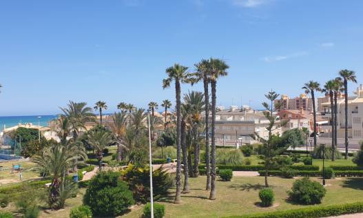 Vakantie verhuur - Appartement - La Mata - Aqua Natura La Mata