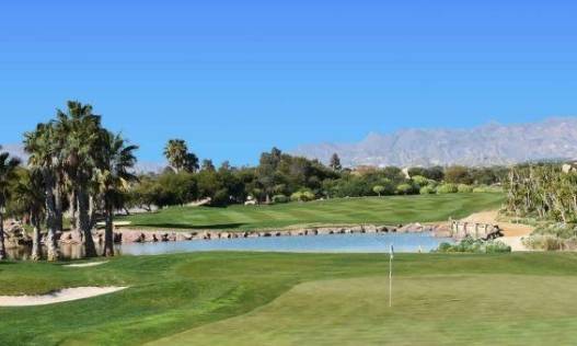 Nieuwbouw - Villa - Cuevas Del Almanzora - Desert Springs Golf Club