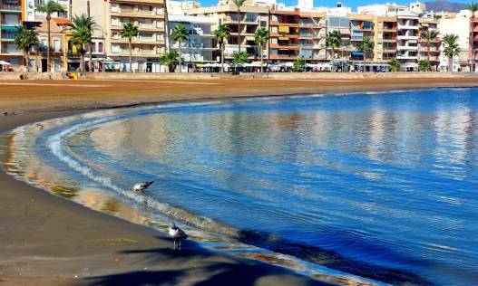 Nieuwbouw - Appartement - Fuente Álamo de Murcia - La Pinilla