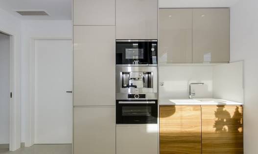 Nieuwbouw - Villa - Vera - Vera Playa