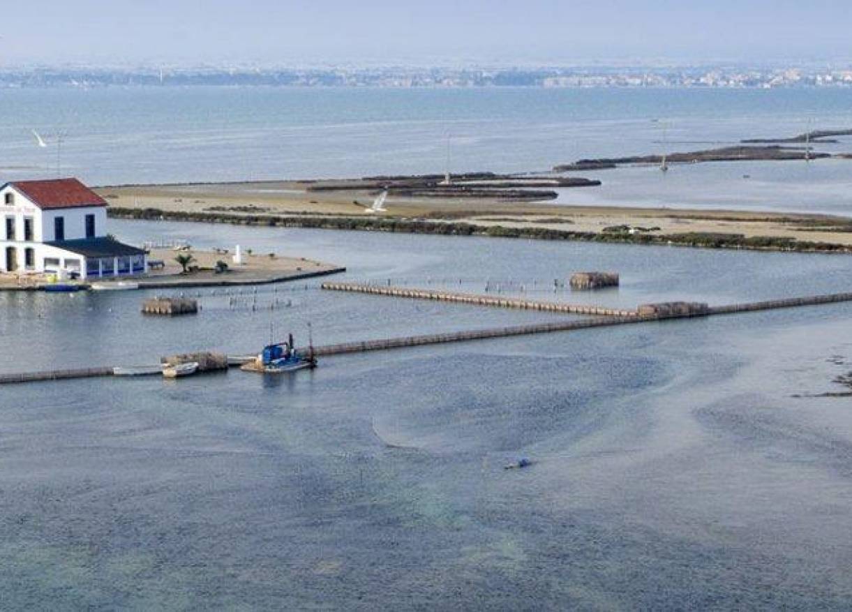 Nieuwbouw - Appartement - San Pedro del Pinatar - Pueblo