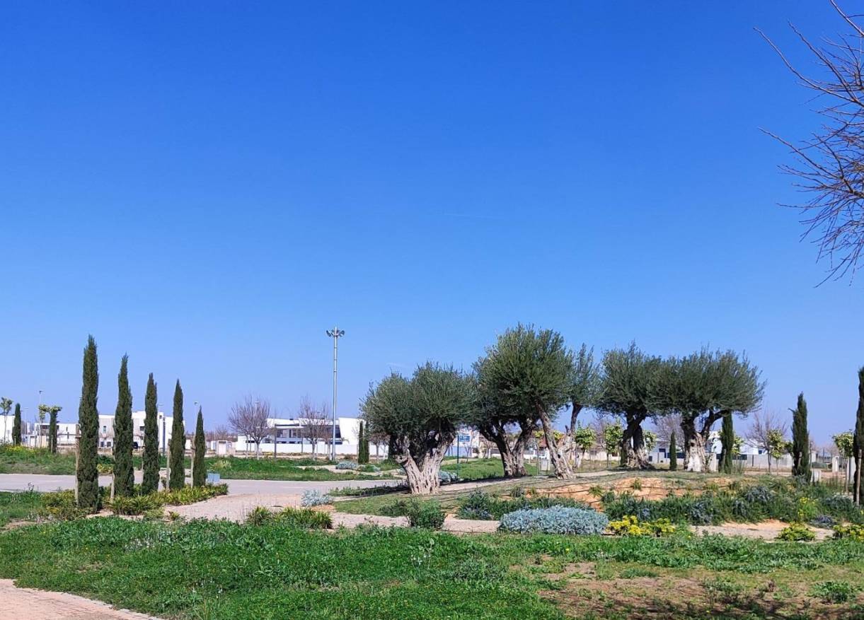 Nieuwbouw - Appartement - Torre Pacheco - Centro