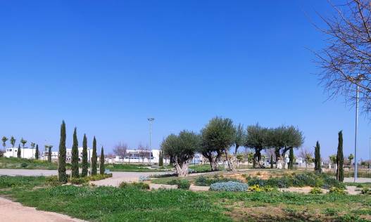 Nieuwbouw - Appartement - Torre Pacheco - Centro