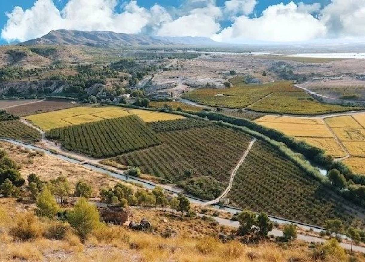 Nieuwbouw - Villa - Calasparra - Coto Riñales