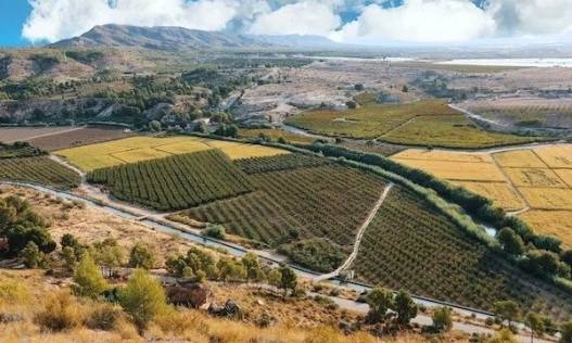 Nieuwbouw - Villa - Calasparra - Coto Riñales