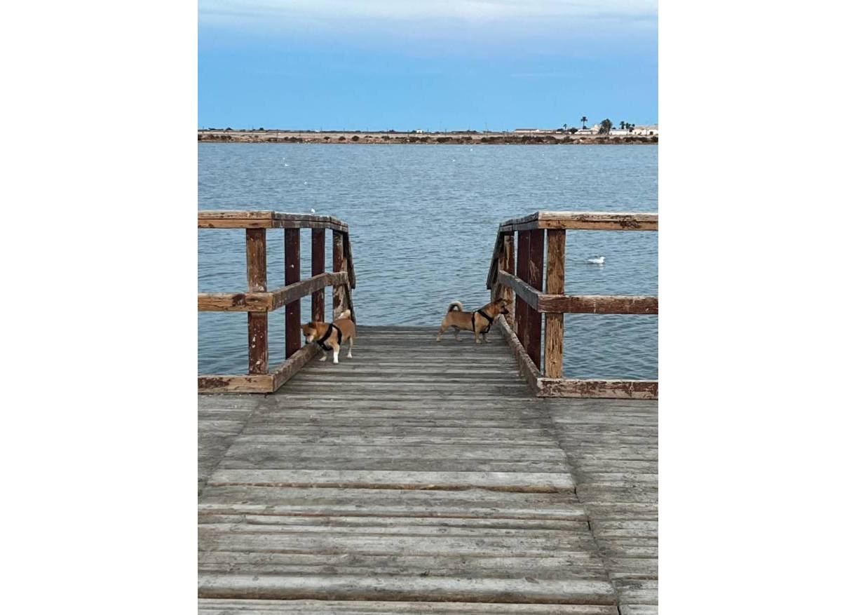 Bestaand - Townhouse / Semi-detached - San Pedro del Pinatar - Los Antolinos