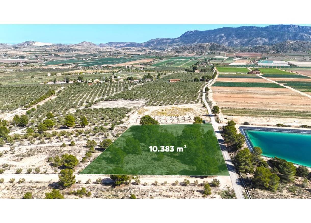 Bestaand - Bouwperceel - Hondón de las Nieves - Hondón de las Nieves / el Fondó de les Neus