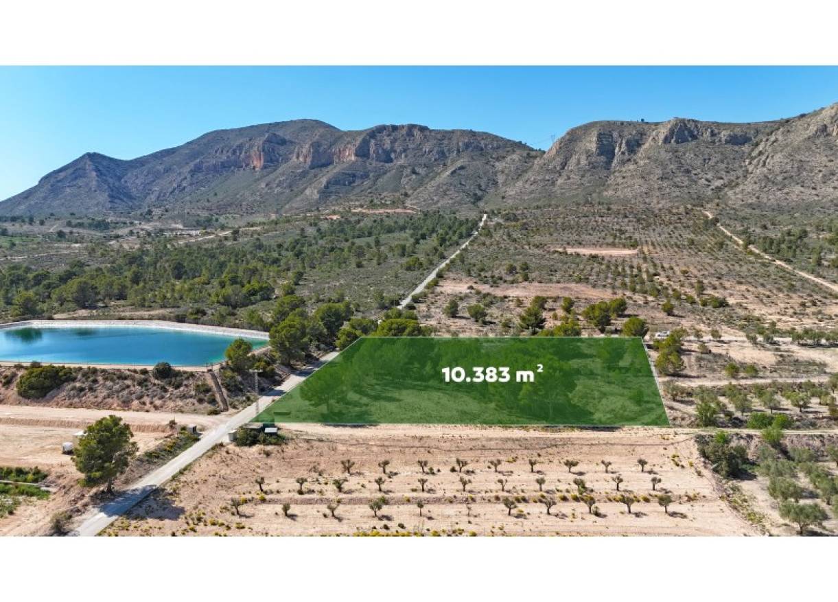 Bestaand - Bouwperceel - Hondón de las Nieves - Hondón de las Nieves / el Fondó de les Neus