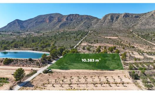 Bestaand - Bouwperceel - Hondón de las Nieves - Hondón de las Nieves / el Fondó de les Neus