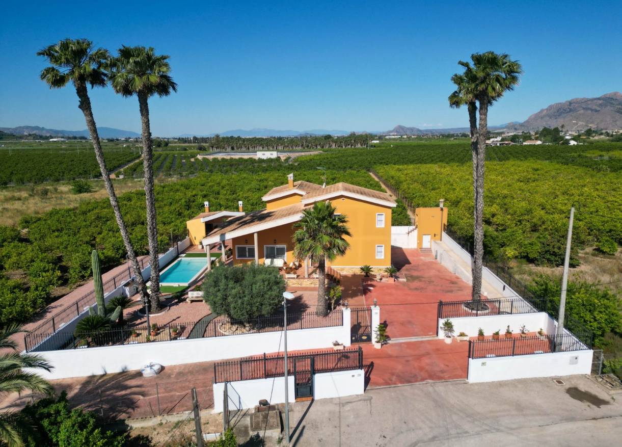 Bestaand - Finca / Country Property - Orihuela Costa - Orihuela