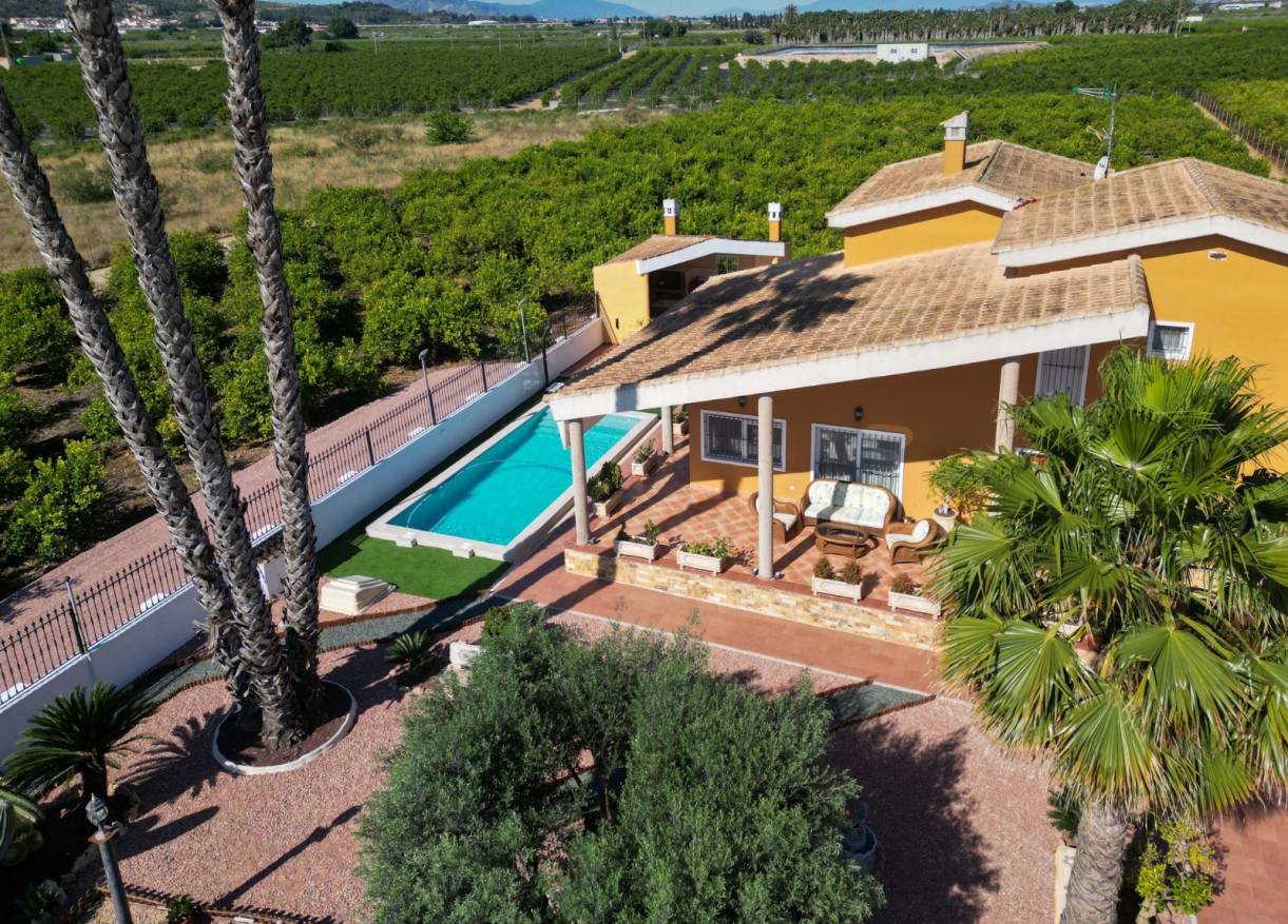 Bestaand - Finca / Country Property - Orihuela Costa - Orihuela