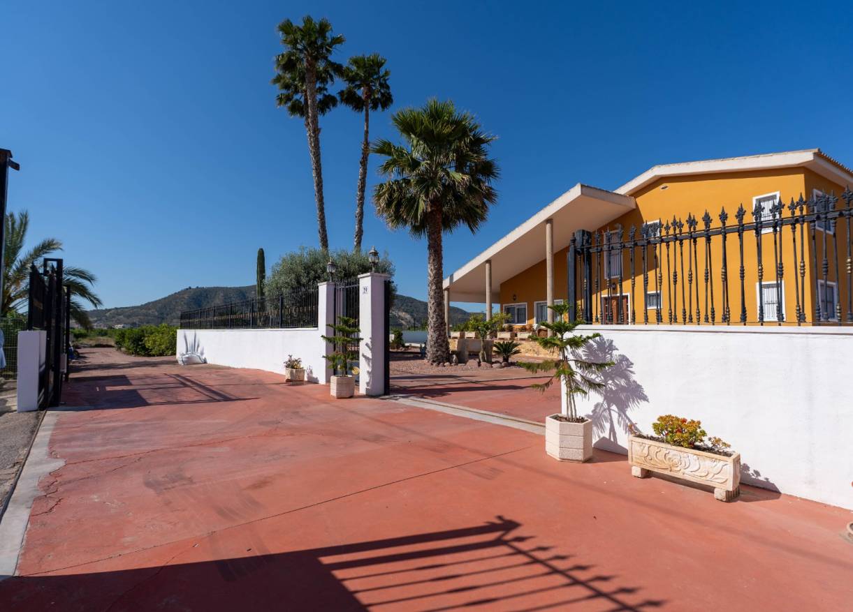 Bestaand - Finca / Country Property - Orihuela Costa - Orihuela