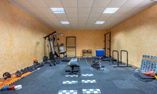 Bestaand - Villa - Los Montesinos - La Herrada