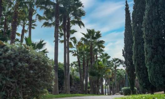 Nieuwbouw - Penthouse - Fuengirola - Higueron