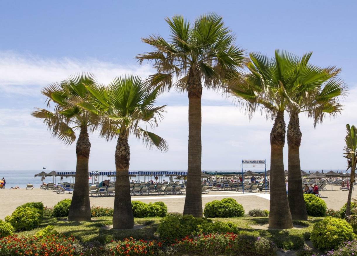 Nieuwbouw - Appartement - Mijas - Hipódromo Costa del Sol