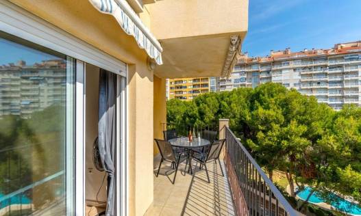 Bestaand - Appartement - Orihuela Costa - Campoamor