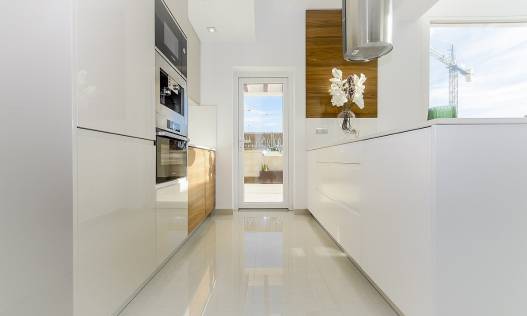 Nieuwbouw - Villa - Los Montesinos - La Herrada