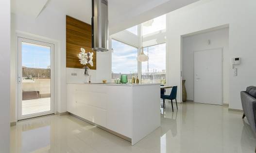 Nieuwbouw - Villa - Los Montesinos - La Herrada
