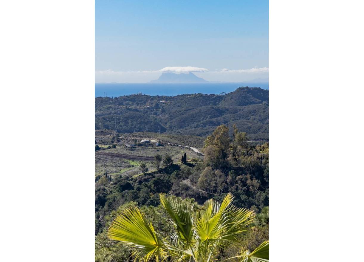 Nieuwbouw - Penthouse - Benahavis - Parque Botanico