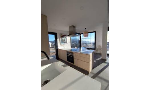 Nieuwbouw - Townhouse / Semi-detached - Polop - PAU1