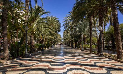 Nieuwbouw - Appartement - Alicante - Centro