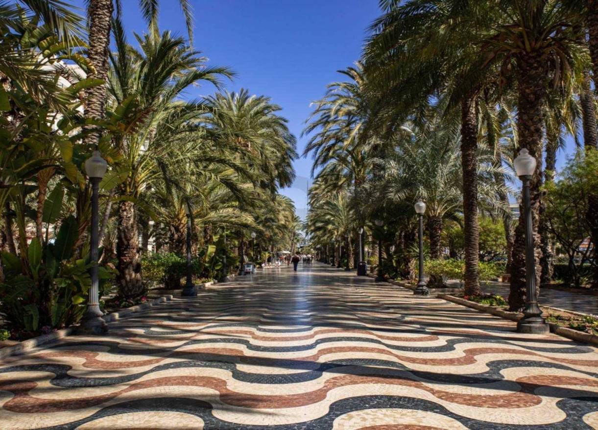 Nieuwbouw - Penthouse - Alicante - Centro