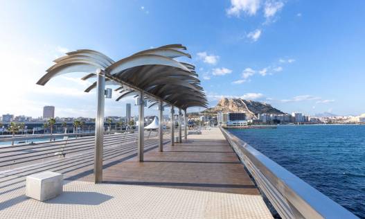 Nieuwbouw - Penthouse - Alicante - Centro