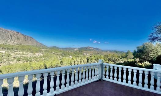 Bestaand - Finca - Jalón Valley - Jalón Vallei