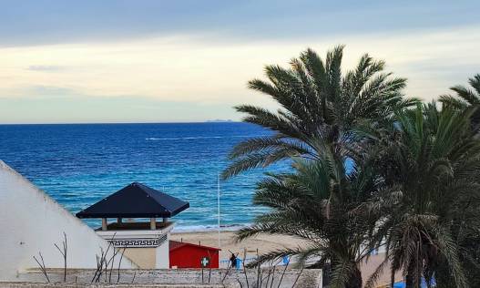 Bestaand - Appartement - Torrevieja