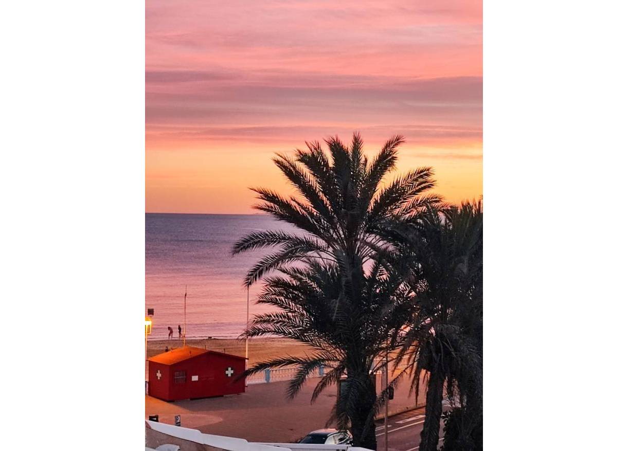 Bestaand - Appartement - Torrevieja