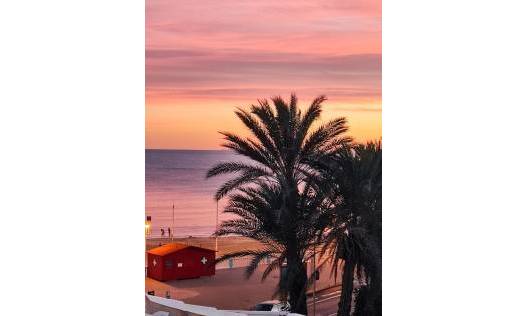 Bestaand - Appartement - Torrevieja