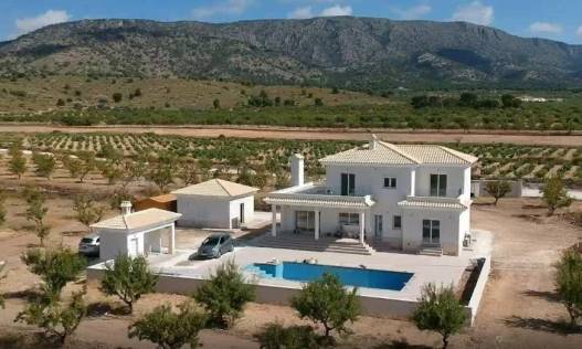 Nieuwbouw - Villa - Pinoso - Camino Del Prado