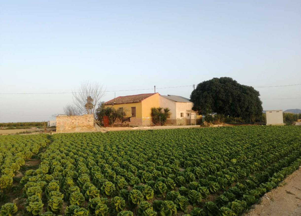 Bestaand - Villa - Orihuela Costa - Orihuela