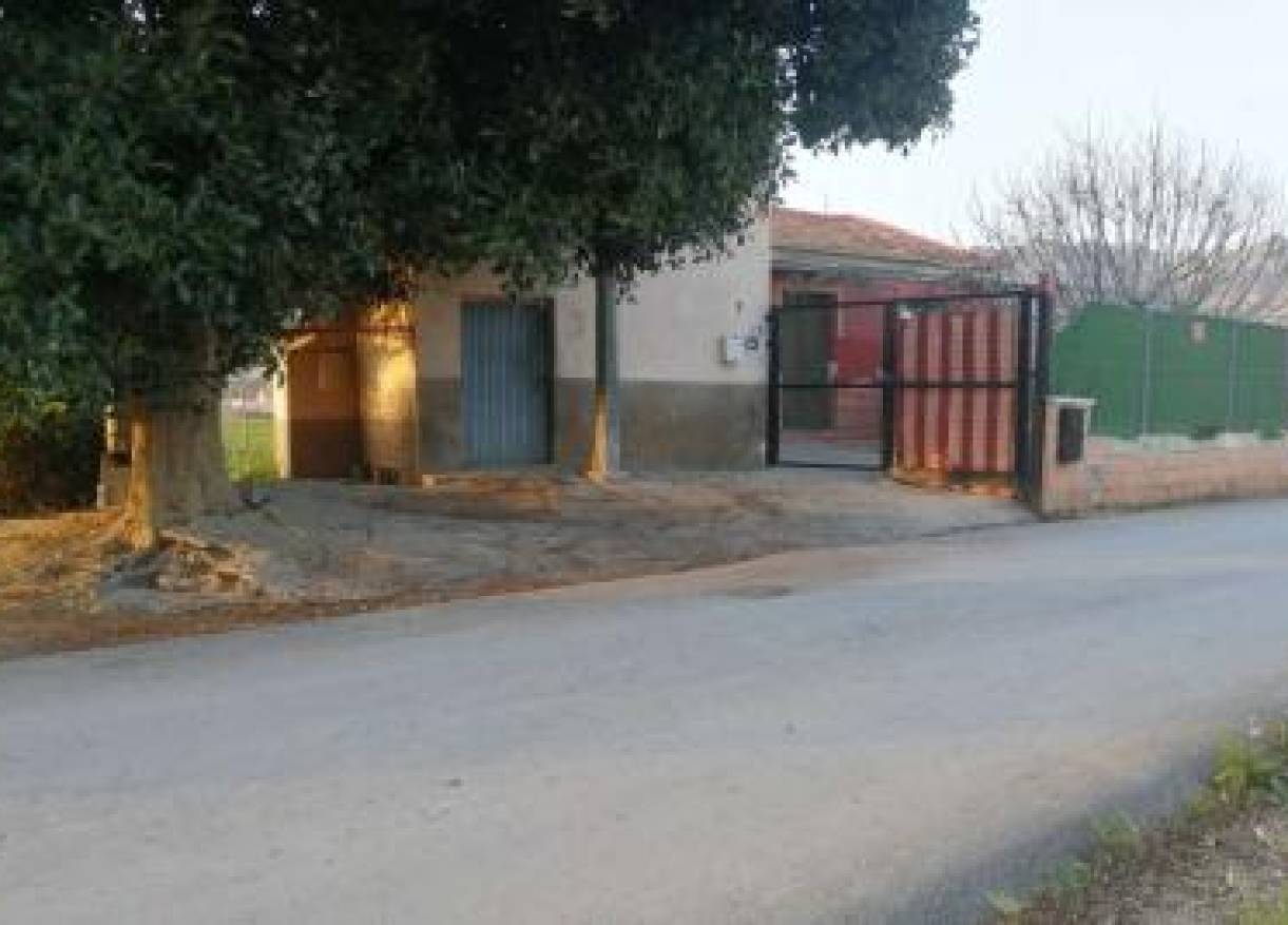 Bestaand - Villa - Orihuela Costa - Orihuela