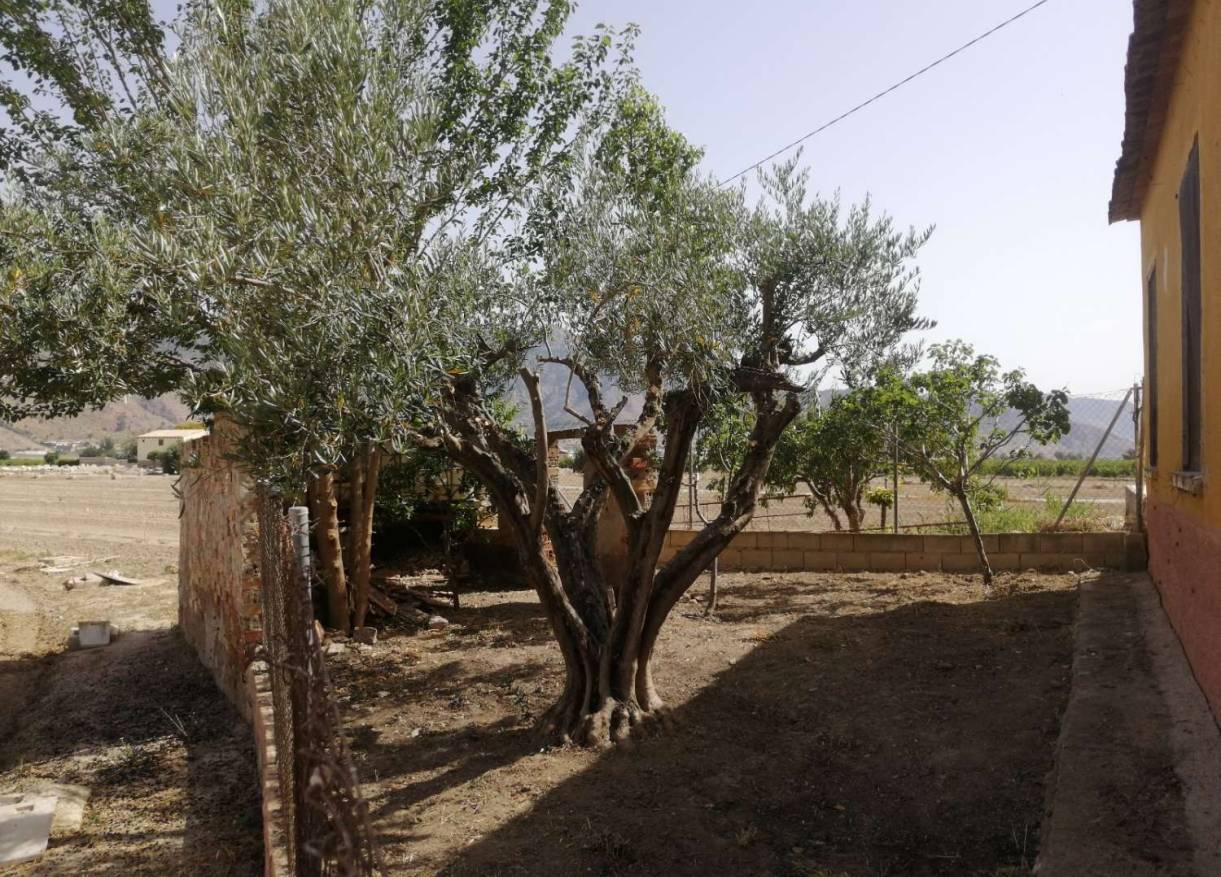 Bestaand - Villa - Orihuela Costa - Orihuela