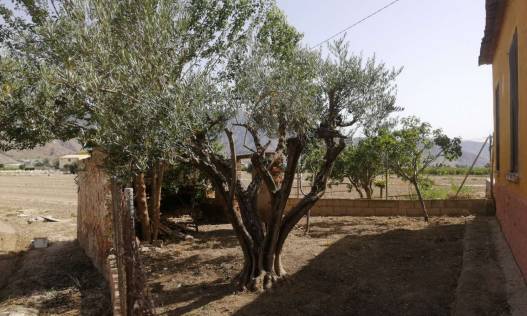 Bestaand - Villa - Orihuela Costa - Orihuela