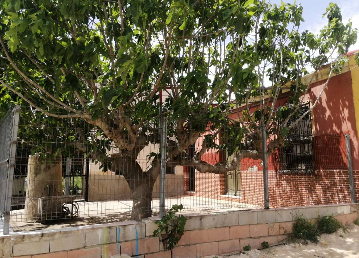 Bestaand - Villa - Orihuela Costa - Orihuela