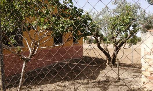Bestaand - Villa - Orihuela Costa - Orihuela