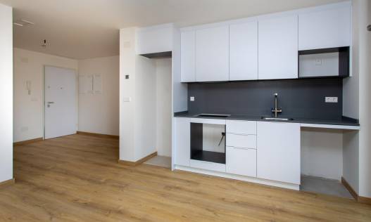 Nieuwbouw - Penthouse - Hondón de las Nieves - El Salero