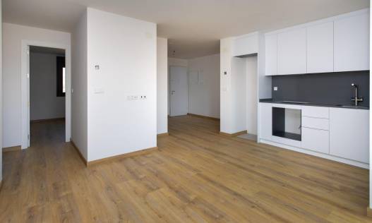 Nieuwbouw - Penthouse - Hondón de las Nieves - El Salero