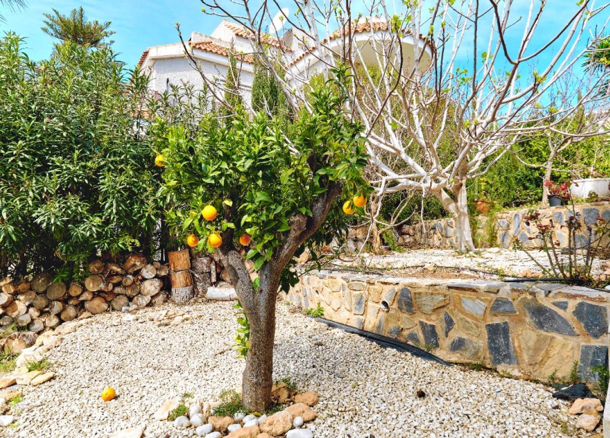 Bestaand - Villa - Campoamor - Dehesa de campoamor